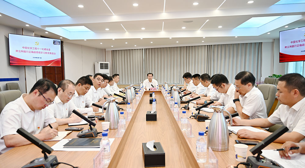 公司党委召开树立和践行正确政绩观学习教育推进会