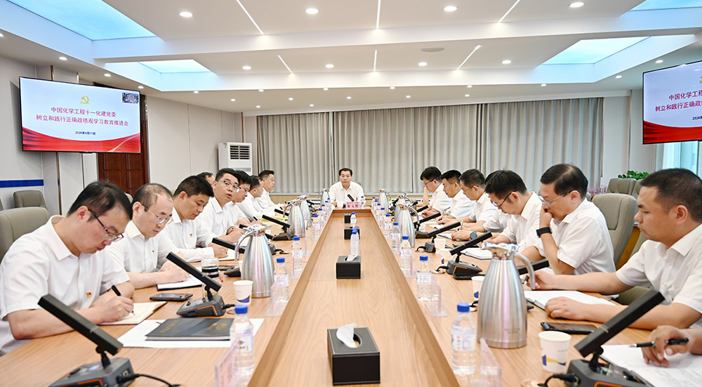 The Company Party Committee Convened a Promotion Meeting on the Study and Education of the Correct View of Achievement